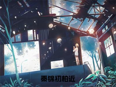 秦锦初柏近免费小说-（秦锦初柏近）秦锦初柏近完结版在线阅读