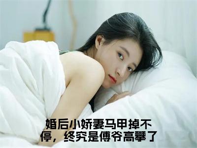 婚后小娇妻马甲掉不停，终究是傅爷高攀了无广告免费阅读-小说傅寒晏沈九音最后结局如何