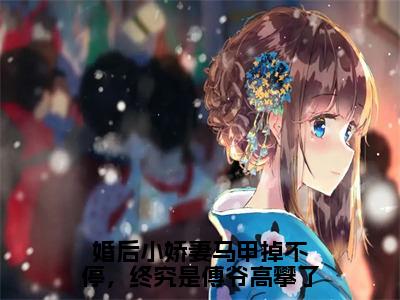 傅寒晏沈九音小说在线阅读全文无弹窗大结局_婚后小娇妻马甲掉不停，终究是傅爷高攀了小说免费最新章节列表