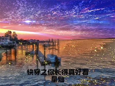 宸惜星灿（快穿之你长得真好看星灿）全文免费阅读无弹窗大结局_快穿之你长得真好看星灿最新章节列表_笔趣阁（宸惜星灿）