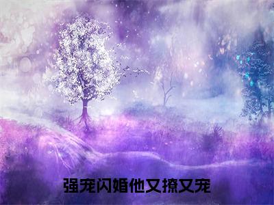 强宠闪婚他又撩又宠小说（姚淇淇）全文免费阅读_（姚淇淇）强宠闪婚他又撩又宠最新章节列表笔趣阁