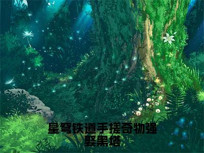 星穹铁道手搓奇物强娶黑塔（陆淮）小说免费阅读在线阅读_星穹铁道手搓奇物强娶黑塔全文免费阅读_笔趣阁