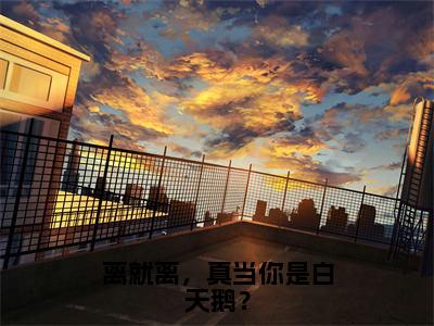 （离就离，真当你是白天鹅？）全文免费阅读无弹窗大结局_（叶辰阅读无弹窗）离就离，真当你是白天鹅？最新章节列表