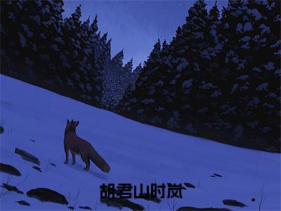 胡君山时岚（时岚胡君山）全文免费阅读无弹窗大结局-胡君山时岚最新章节列表免费阅读