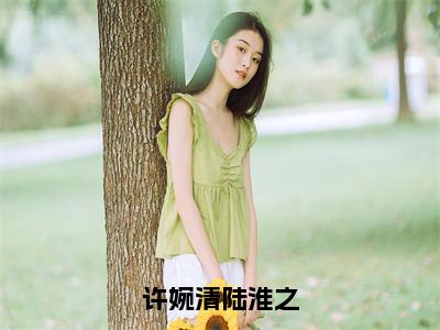 陆淮之许婉清（许婉清陆淮之）完整全文在线阅读_许婉清陆淮之小说全章节目录阅读（陆淮之许婉清）