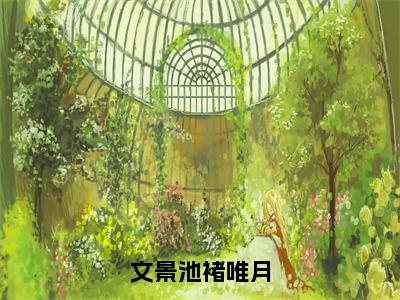 小说文景池褚唯月在线阅读-正版小说《褚唯月文景池》文景池褚唯月全文阅读