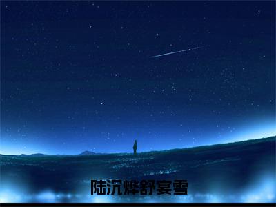 陆沉烨舒宴雪（舒宴雪陆沉烨）全文免费阅读无弹窗大结局_舒宴雪陆沉烨最新章节列表_笔趣阁