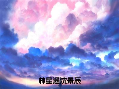 林星遥沈景辰小说叫什么名字（林星遥沈景辰）完整版大结局-林星遥沈景辰小说在线阅读