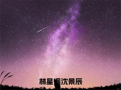 小说（林星遥沈景辰）林星遥沈景辰精选片段阅读-小说林星遥沈景辰免费版最新更新阅读