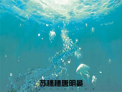 苏穗穗唐明晏（唐明晏苏穗穗全章节完整版）免费阅读_（唐明晏苏穗穗）苏穗穗唐明晏全文无删减免费阅读