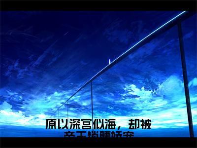 原以深宫似海，却被帝王锁腰娇宠全文免费阅读无弹窗大结局-原以深宫似海，却被帝王锁腰娇宠沈君樾陆芷鸢全文全章节免费阅读