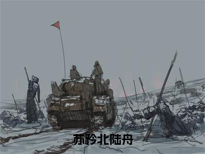 苏矜北陆舟小说全文免费阅读无弹窗大结局_（苏矜北陆舟）陆舟苏矜北最新章节列表笔趣阁