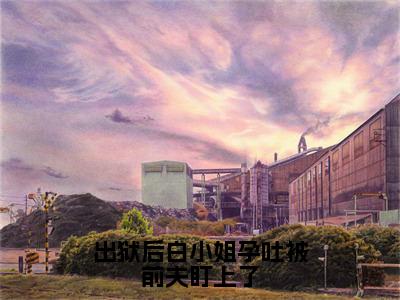 白凝墨晟渊全文免费阅读大结局-白凝墨晟渊最新章节免费阅读大结局