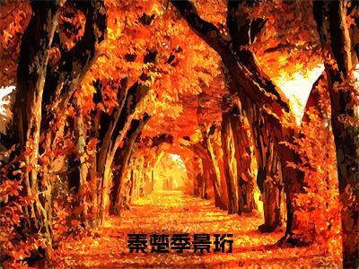 季景珩秦楚小说（秦楚季景珩）完整版大结局-秦楚季景珩小说免费阅读