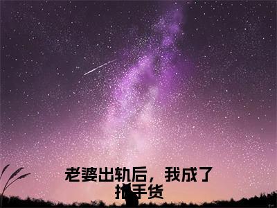 （老婆出轨后，我成了抢手货抖音小说）王宇陈雨婷小说全文阅读免费（结局）+（免费）