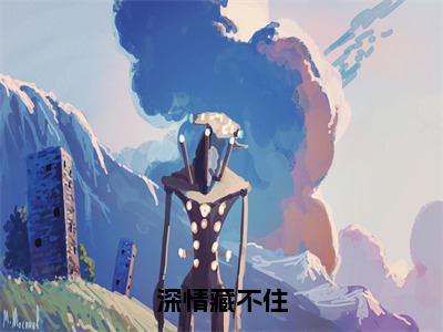 深情藏不住（辛甘程究全章节完整版）免费阅读-深情藏不住全文无删减阅读