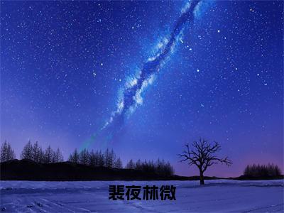 裴夜林微（林微裴夜）全文免费阅读无弹窗大结局_林微裴夜（裴夜林微最新章节在线阅读）_笔趣阁