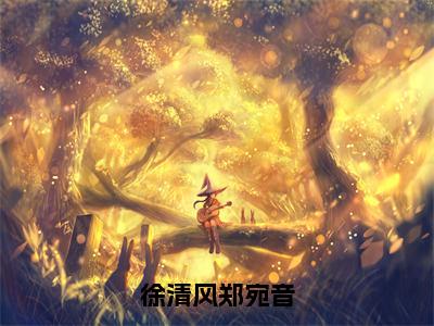 徐清风郑宛音小说在线阅读（郑宛音徐清风）全文免费阅读大结局_徐清风郑宛音最新章节列表笔趣阁