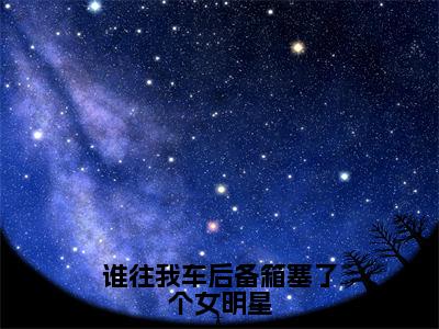 谁往我车后备箱塞了个女明星（许默）全文免费阅读无弹窗大结局_谁往我车后备箱塞了个女明星最新章节列表笔趣阁