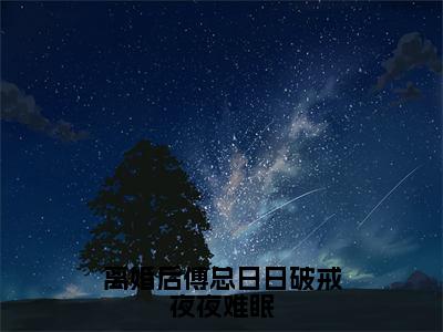 叶聆之傅明司（离婚后傅总日日破戒夜夜难眠全文在线阅读）-叶聆之傅明司（离婚后傅总日日破戒夜夜难眠）免费阅读