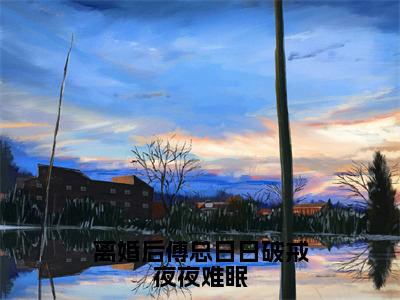 叶聆之傅明司小说离婚后傅总日日破戒夜夜难眠全文免费阅读无弹窗-正版小说（离婚后傅总日日破戒夜夜难眠）叶聆之傅明司全文阅读