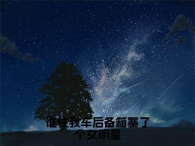 （谁往我车后备箱塞了个女明星）许默全文完整版-最新热门榜单小说谁往我车后备箱塞了个女明星（许默）