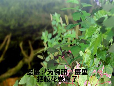 盗墓：为保研，墓里把校花卷麻了小说最新试读_叶凡白轻絮是（盗墓：为保研，墓里把校花卷麻了）_笔趣阁（盗墓：为保研，墓里把校花卷麻了）