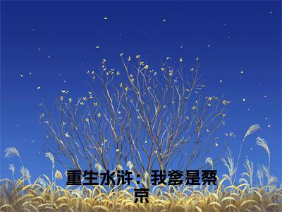 重生水浒：我爹是蔡京全文免费阅读无弹窗大结局（蔡鞗）_重生水浒：我爹是蔡京最新章节列表_笔趣阁（蔡鞗）