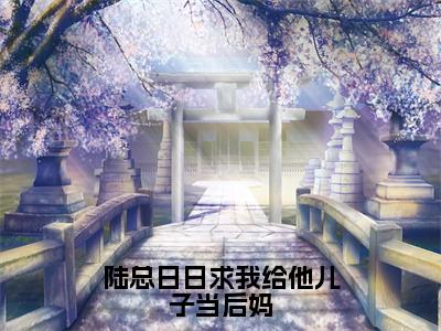 （陆总日日求我给他儿子当后妈小说免费阅读）陆忱时洛心全文免费阅读无弹窗大结局-陆总日日求我给他儿子当后妈全文免费版阅读