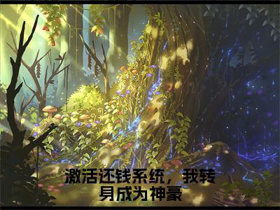 李海洋钱文星小说全文免费阅读_（李海洋钱文星）激活还钱系统，我转身成为神豪最新章节列表笔趣阁