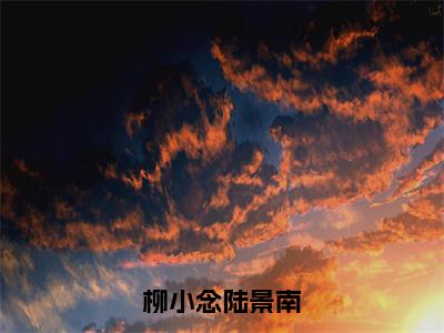 柳小念陆景南免费小说（陆景南柳小念）全文免费阅读无弹窗大结局_陆景南柳小念最新章节列表_笔趣阁