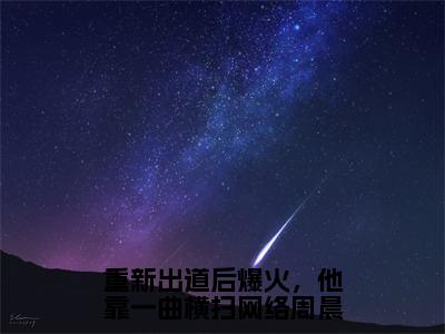 小说《重新出道后爆火，他靠一曲横扫网络周晨》全文免费阅读无弹窗-周晨赵敏小说全文在线赏析_笔趣阁