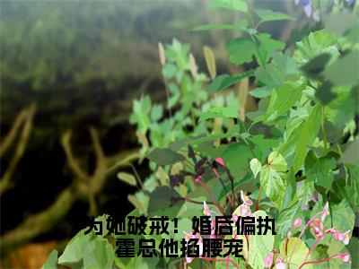 棠岁晚霍时川无弹窗（为她破戒！婚后偏执霍总他掐腰宠）全文免费阅读无弹窗大结局_（棠岁晚霍时川无弹窗）为她破戒！婚后偏执霍总他掐腰宠无弹窗最新章节列表