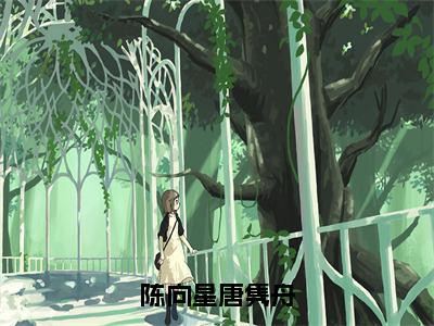 陈向星唐隽舟（陈向星唐隽舟）小红书热荐小说-陈向星唐隽舟女生爱看的小说全集资源