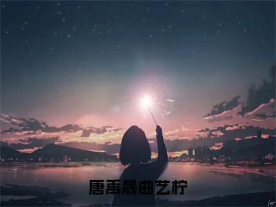 唐禹晟曲艺柠（曲艺柠唐禹晟）全文免费阅读无弹窗大结局_唐禹晟曲艺柠免费阅读无弹窗最新章节列表