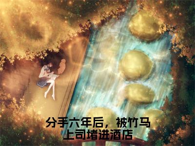 《林觅秦砚》全文免费阅读无弹窗大结局-分手六年后，被竹马上司堵进酒店无弹窗阅读