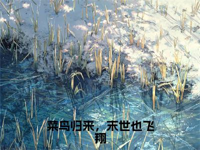 菜鸟归来，末世也飞翔（裴楠生左灵）全文免费阅读无弹窗大结局_（菜鸟归来，末世也飞翔免费阅读全文大结局）最新章节列表