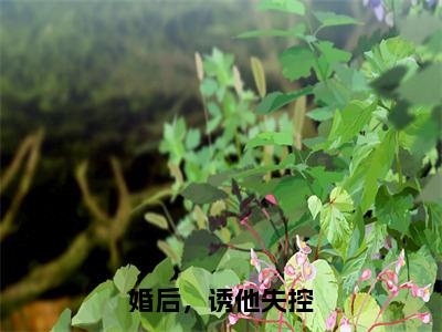 婚后，诱他失控小说讲的是什么-温乔靳平洲精彩章节目录观看