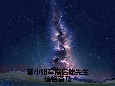 莫小姐车祸后陆先生追悔莫及小说免费阅读莫谨瑜陆景完整版全文大结局