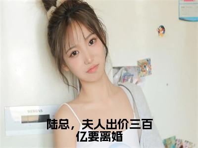 陆总，夫人出价三百亿要离婚全文免费阅读_（沈倾心陆霆御免费阅读无弹窗）陆总，夫人出价三百亿要离婚最新章节列表笔趣阁