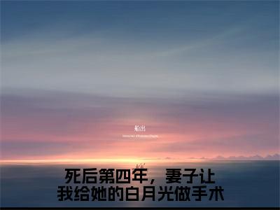 安知愿南景和新书死后第四年，妻子让我给她的白月光做手术看全文小说-安知愿南景和小说资源阅读死后第四年，妻子让我给她的白月光做手术