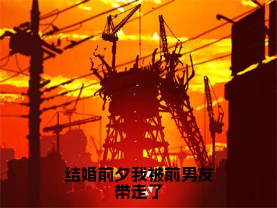 结婚前夕我被前男友带走了（曲南枝薄寒深）全文免费阅读大结局_结婚前夕我被前男友带走了最新章节列表_笔趣阁