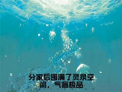 分家后囤满了灵泉空间，气疯极品免费阅读（苏玥王富贵）全文免费阅读无弹窗大结局_分家后囤满了灵泉空间，气疯极品免费阅读最新章节列表