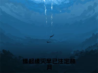 林月程笙人气小说缘起缘灭早已注定林月创在线阅读-正版小说《缘起缘灭早已注定林月》林月程笙全文阅读