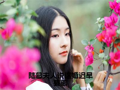 陆总夫人说这婚迟早要离（盛渺陆怀序）小说全文免费阅读-陆总夫人说这婚迟早要离（盛渺陆怀序）免费在线阅读完整版