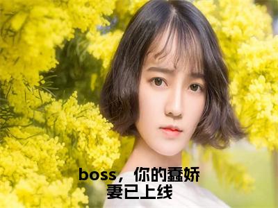 （热推新书）《boss，你的蠢娇妻已上线》顾西邢北岩无弹窗阅读_boss，你的蠢娇妻已上线最新章节列表_笔趣阁