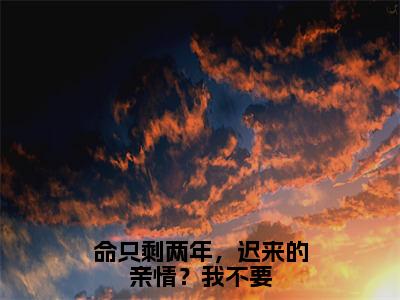 命只剩两年，迟来的亲情？我不要小说（林风程岁）全文免费阅读_（林风程岁）命只剩两年，迟来的亲情？我不要最新章节列表笔趣阁