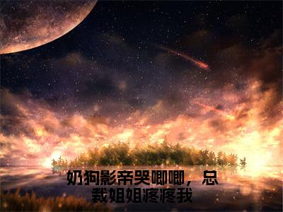 奶狗影帝哭唧唧，总裁姐姐疼疼我高赞小说（江瓷林星橙）完结阅读_奶狗影帝哭唧唧，总裁姐姐疼疼我全文完整版免费阅读最新章节列表