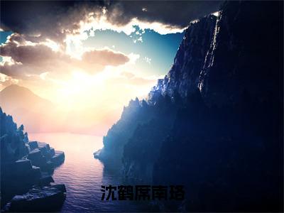 席南珞沈鹤沈鹤席南珞全文免费完整版，席南珞沈鹤最新章节完整版阅读