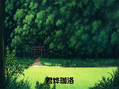 君烨珈洛（珈洛君烨）小说全文免费阅读-君烨珈洛（珈洛君烨）小说免费版最新更新阅读